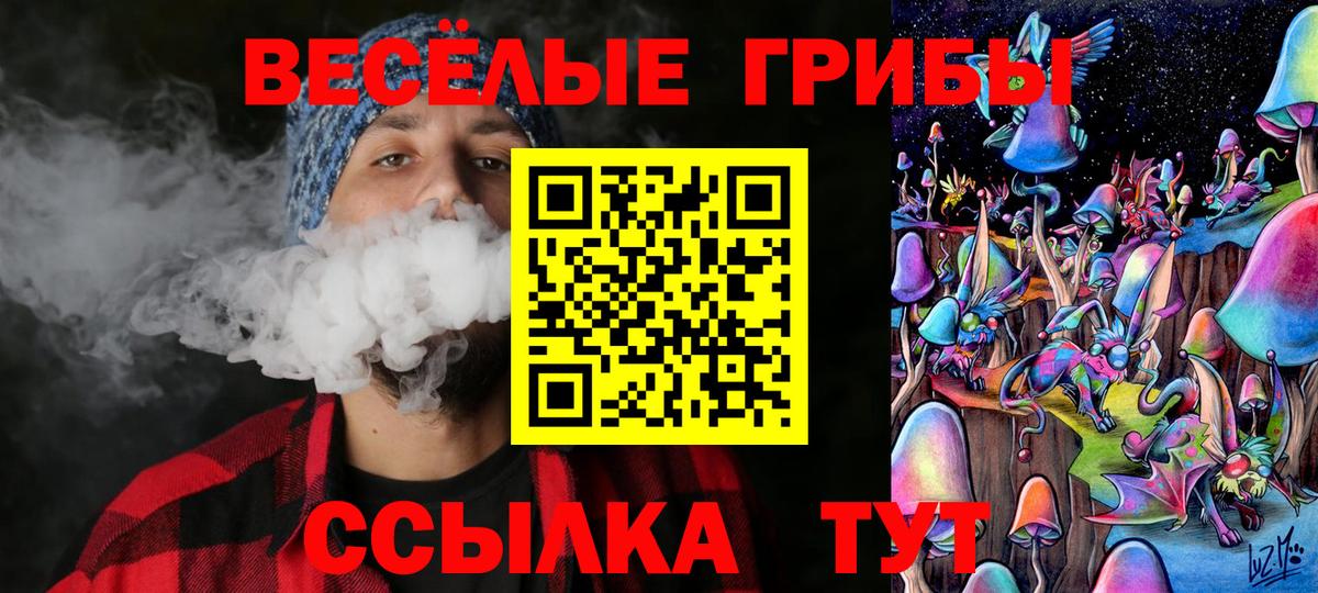 Псилоцибиновые грибы MAGIC MUSHROOMS  Вход с VPN  Знаменск  Псилоцибиновые грибы прущие грибы 