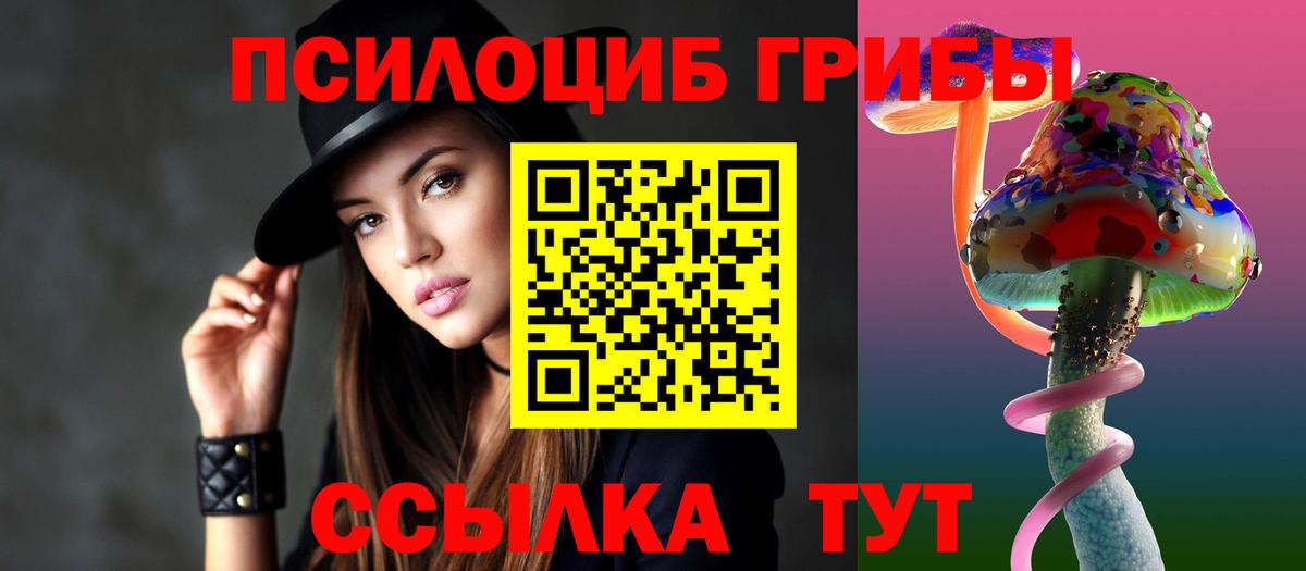Псилоцибиновые грибы Psilocybine cubensis Знаменск